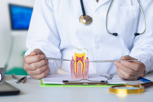 Best Emergency Root Canal Therapy in Manvel, TX